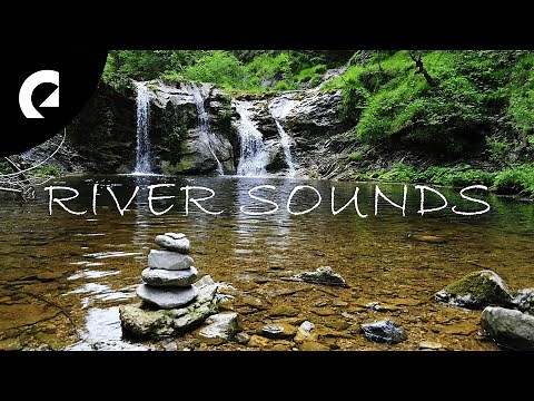30 Minutes of Relaxing River Sounds - Flowing Water and Forest Creek Ambience 🏞️
