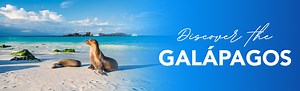 Galapagos Vacations | Dream Vacations