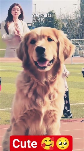 #dancecover #edit #trending #viral #dance trending reels ✨ 1