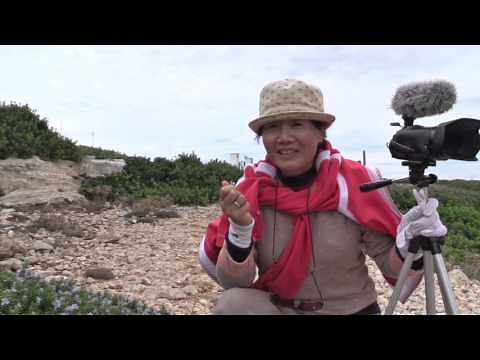 Menorca: Grupotel Playa Club und der Norden