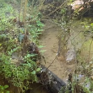 What Treausure Will I Find? 👀 | Adventure Archaeology And Southern Diggers