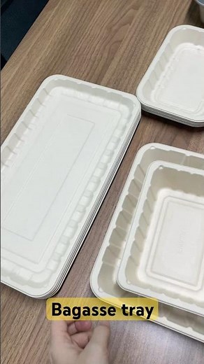 100 Pack Plate Disposable, Compostable Divided Disposable Dinner Plates, Paper Tray for Food