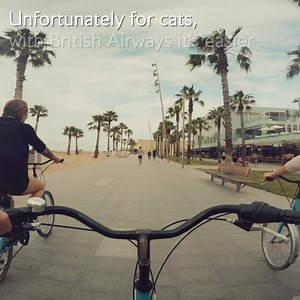 2.3M views · 573 shares | What will your cat think when he finds out you’re off on a British Airways city break? | British Airways | Facebook