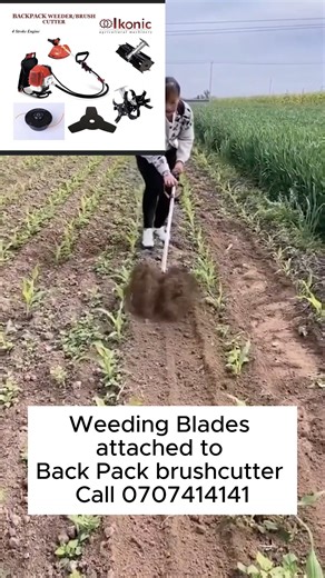 1.1M views · 5.1K reactions | The back pack brush cutter is super versatile. Not only can it cut and trim your overgrown bushes, it can also weed. The weeding blades penetrates the soil through rotating disrupting weed growth. Call us on 0707414141 (Note: We do not have any rights to this video but we have the exact tool) | Ikonic Agricultural Machines | Facebook