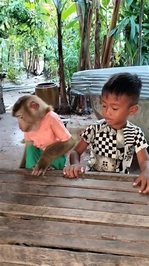 Lovely animal SokYaa, OG, Pao Mom Are Famous Around The World #shorts #anime #trend #edit