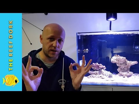 Aqua One Mini Reef 120 Update #1 - Setting Up