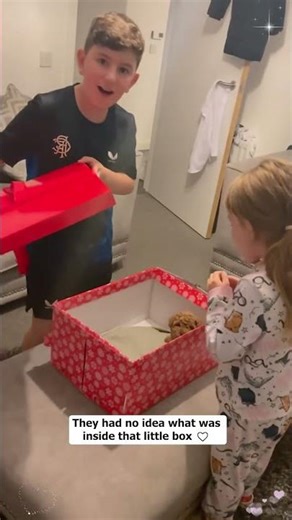 The ULTIMATE Christmas Surprise For Your Pet Lovers