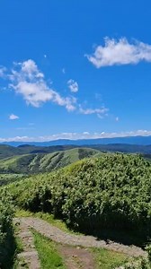 The Qixingshan Trail observation deck near Lengshuikeng in Taipei offers hikers impressive views over the Taipei basin and the surrounding natural landscape. Located close to the Lengshuikeng Visitor Centre, the deck provides sightlines towards Qingtiangang grasslands and the Jingshan Suspension Bridge, enhancing the hiking experience with scenic forest and meadow views. Lengshuikeng itself is known for its geothermal hot springs with temperatures between 30 to 40°C, offering both outdoor foot b