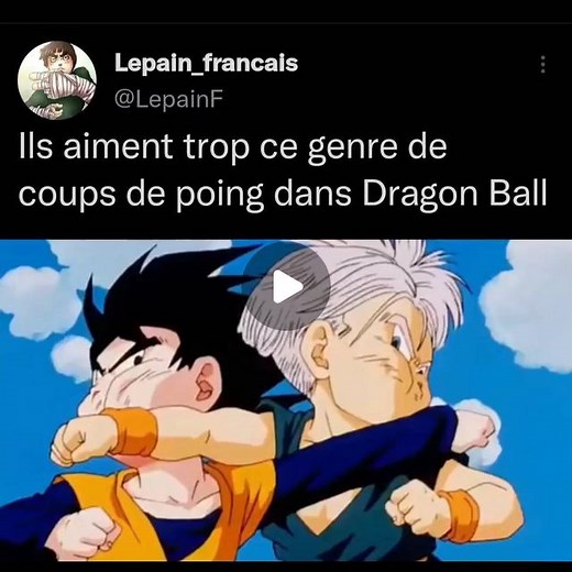 LePainFrancais 🥖 | C'est même pas logique #dragonball #trunks #goten #goku #vegeta #dragonballz #anime #fight #bulma #blackgoku #db #dbz | Instagram