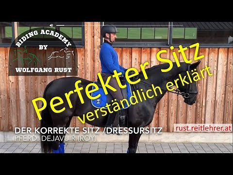 F6 Der Sitz des Reiters am Pferd. Dressursitz genau erklärt. Richtig am Pferd sitzen lernen.