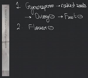 General characteristics of gymnosperm... | Filo