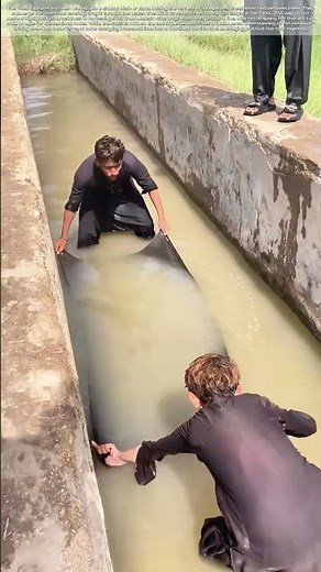 Sheet-Trawling a Ditch: The Impromptu Net for Tiny Catches