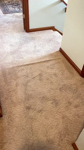 carpetrepairguys on TikTok