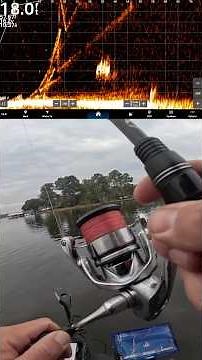 Crappie Fishing with the Livescope
