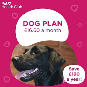 With our dog plan | Pet Health Club | Facebook