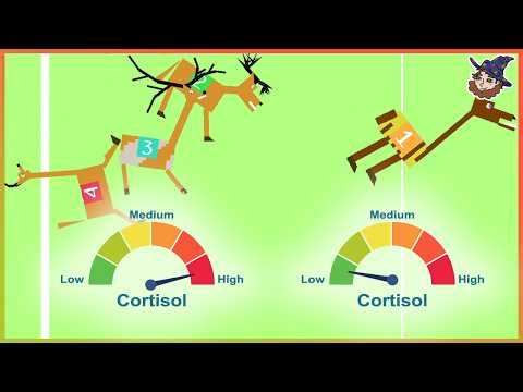 The GREATEST Herbivore (in horsey game)