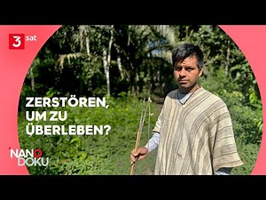 So hart ist der Amazonas in Peru: Nachhaltig leben in mächtiger Natur | NANO Doku