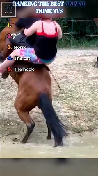 Top 5 Animals That Will Blow Your Mind 🐍🦅🦈