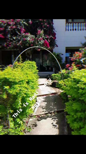 Nadi fancy Hotel on TikTok