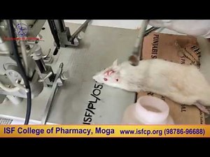 Neuro Surgical Procedure Using Stereotaxic Apparatus | Dr. Shamsher Singh