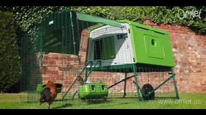 294 reactions · 247 shares | The Eglu Cube Chicken Coop is perfect for keeping a large flock of chickens in your backyard  | Omlet USA | Facebook