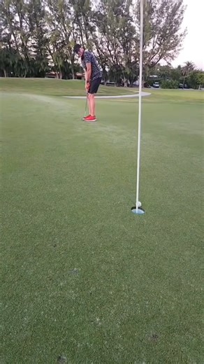 Main Page Highlights