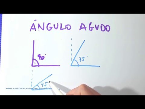 Qué es un ángulo agudo - Cuál es, definición, dibujos y ejemplos