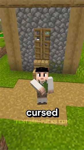 MOST CURSED texture pack