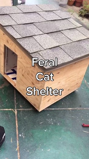 DIY Outdoor Cat Shelter for Juana