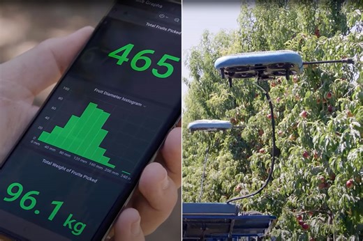 HMC Farms Partners with Tevel Aerobotics to Deploy Autonomous Fruit-Picking Drones