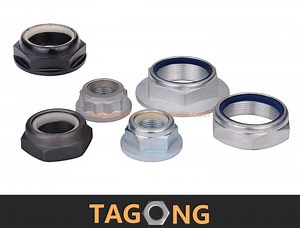 [Hot Item] Class 8 DIN 985 M 22 Automotive Hex Locking Nuts with Nylon