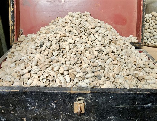 160K views · 3.1K reactions | Today, we discuss the many reasons detectorists find so many dropped Minié balls and other bullets. If you watch metal detecting videos, you may have noticed that we find many more dropped (never fired) bullets than fired bullets. If you have ever wondered why, this is the video for you. | Aquachigger | Facebook