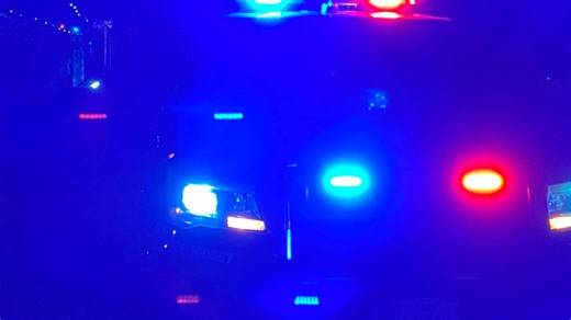 Ada coroner identifies Boise man who died after crashing into State Street light pole