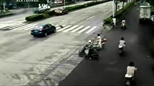 一只狗造成的一场灾难