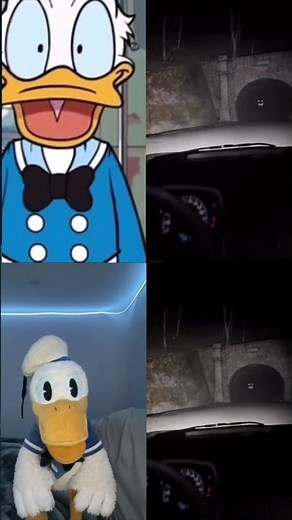 Donald Ducc OR Donald Ducc Animation?