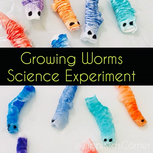Growing worms science experiment for preschoolers and kindergarteners🐛🪱🐛...Kids will love to see the worms growing as they squeeze water on them 🐛🪱🐛...It's super easy to set up and a great April fine motor activity for kids🧬🔭🧫 #science #experiment #preschool #kindergarten #finemotor | Zippi Kids Corner