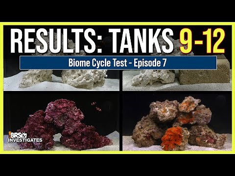 Ep: 7 Best Biome Cycle? Aquaforest Life Source vs. Real Reef vs. Gulf Rock vs. MarinePure Brick
