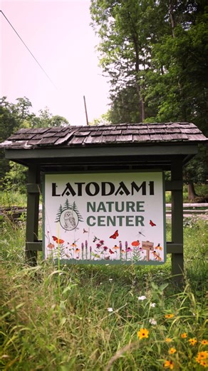 2.5K views · 23 reactions | Let's learn something new with Katie from Latodami Nature Center! It's time to explore the lifecycle of the Monarch Butterflies from egg to a beautiful orange and black butterfly. This is video 2 of 3 about Monarch Butterflies. Stay tuned for more educational videos! 曆 | Allegheny County Parks | Facebook