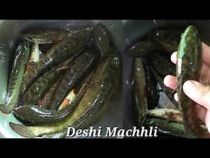 Deshi Machhli Recipe | गरई मछली बनाने का आसान तरीका/village style Sauri Machhli | छोटी मछली रेसिपी