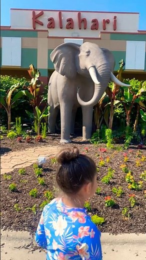 Wow !! Kalahari Resorts Waterpark Wisconsin Dells #family #wisconsin #waterpark #vacation #kalahari