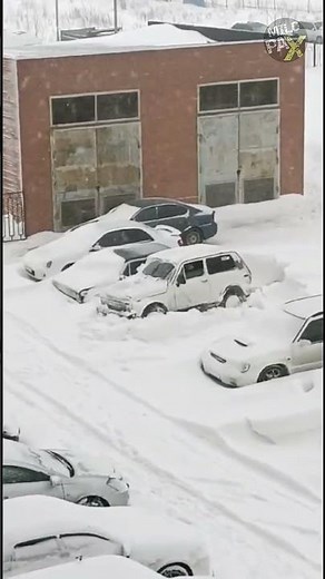 What to Do if Your Car Is Stuck in Snow? ❄️🚘