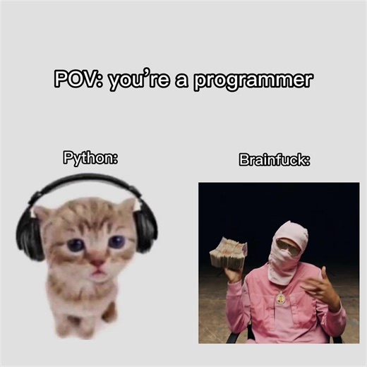 Coding is hard brah #coding #programmer #python #fyp #tiktok