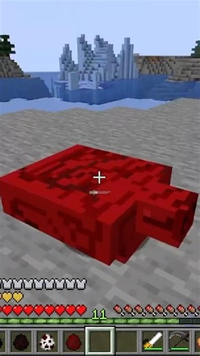 The Funniest Minecraft Mob: Blood Turtle...