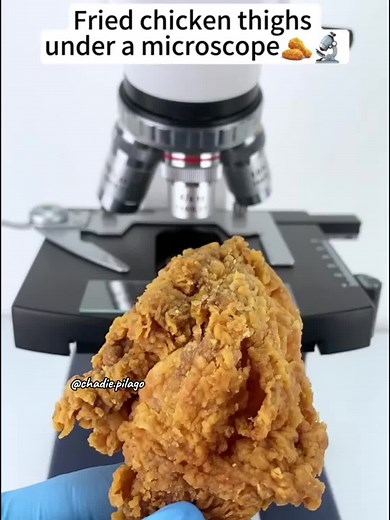 Fried chicken thight under a microscope...#fypシ #foryou #fypviralシ #undermicroscope