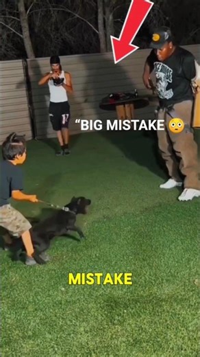 Puppy Protection Training Goes WRONG 😳🐶#usa #dog #trending