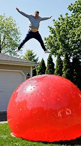 14 reactions | What happens when you build massive mounds of wobbly jelly the size of a swimming pool? People start jumping in… And then a bear joins the fun.  Slow-motion jelly explosions, faceplants, and hilarious reactions — this has to be one of the strangest and most entertaining things ever filmed. #GiantJelly #JellyJump #FunnyShorts | Pro Inventions | Facebook