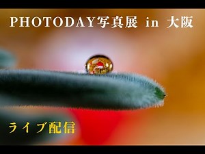 第8回PHOTODAYS写真展in大阪