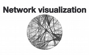 Network visualization: The core concepts of network layout and clustering