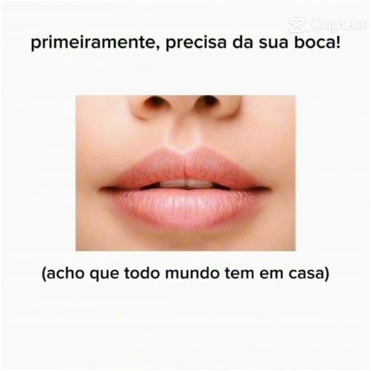 o tutorial besta