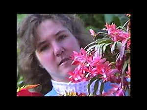 Overstreet Thanksgiving 1989 - Linden, AL (1080p60)